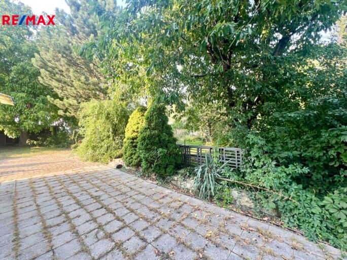 3045533.jpeg 3045533.jpeg